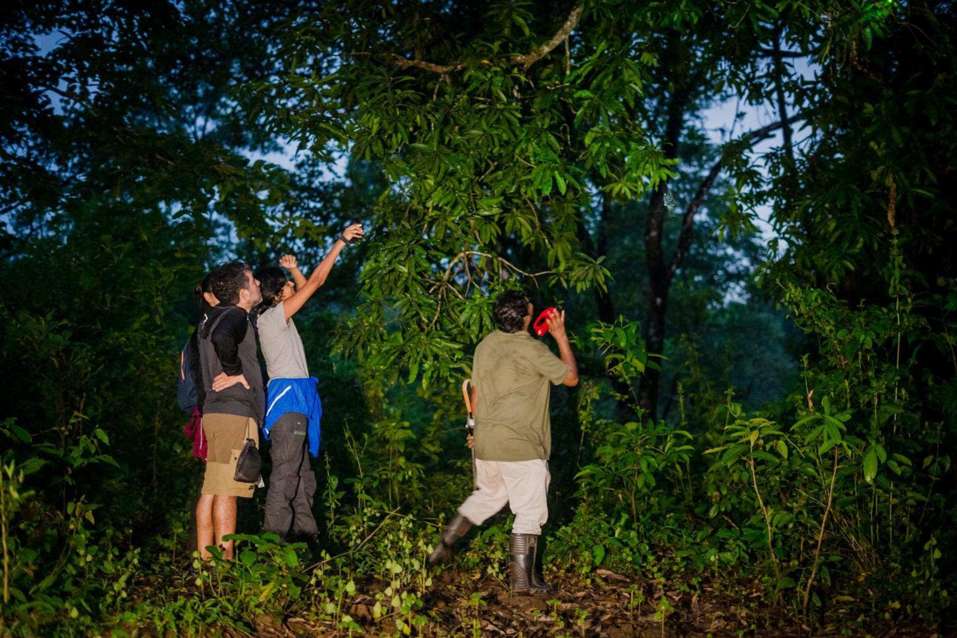 Nature'S Nest Eco Resort Goa, Near Dudhsagar Waterfalls Molem Экстерьер фото